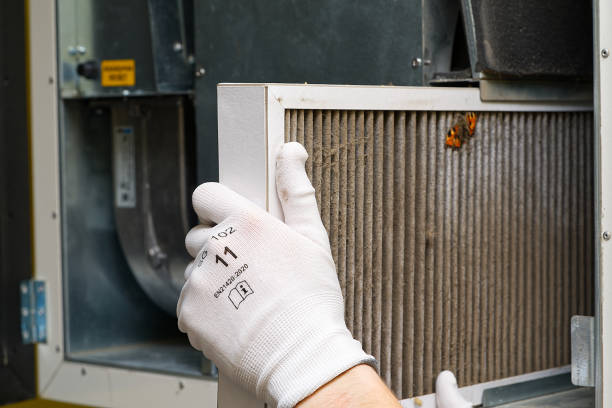 Best Affordable Duct Cleaning Services  in Hallsville, MO