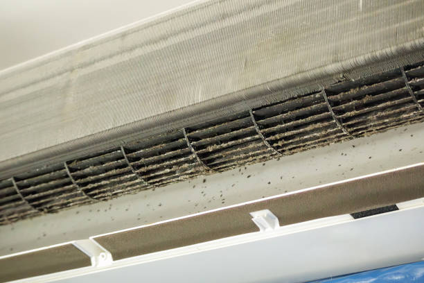 Best Air Duct Cleaning Near Me  in Hallsville, MO