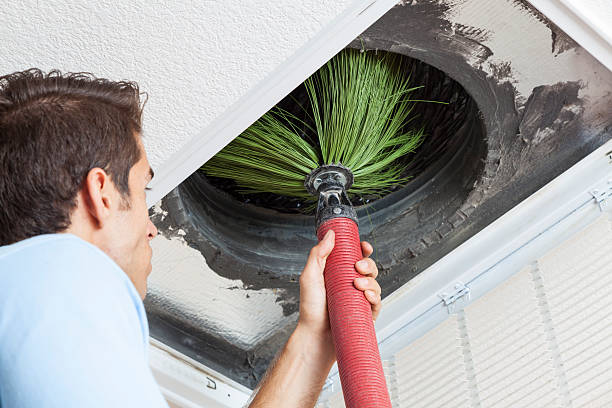 Best Ventilation Cleaning Services  in Hallsville, MO