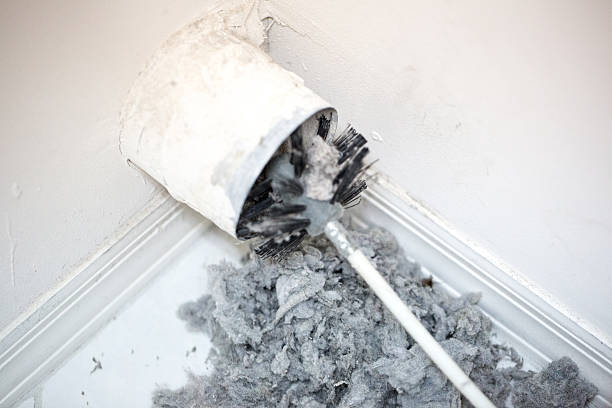 Best Duct Cleaning for Homes  in Hallsville, MO